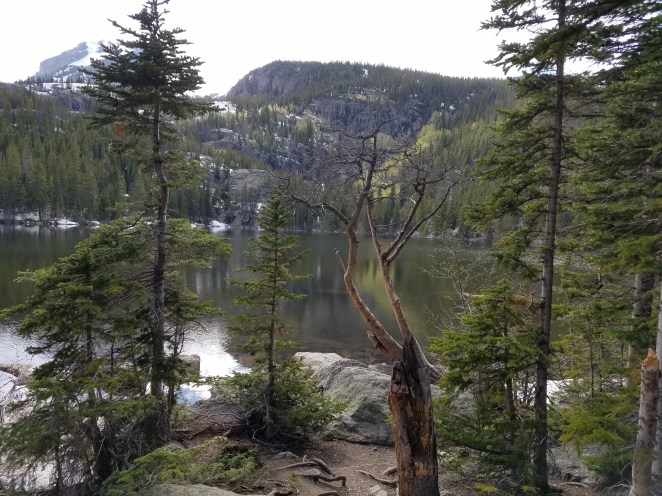 20170603_162323 - Copy