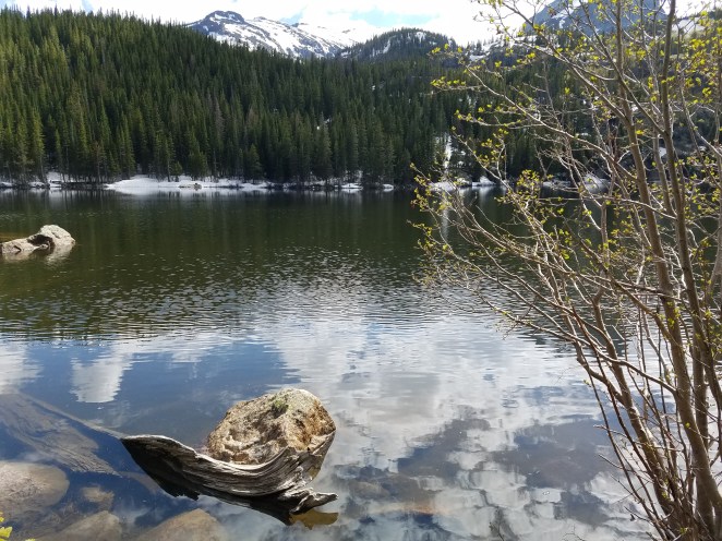 20170603_162552 - Copy